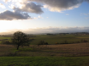 View from Belle Pente